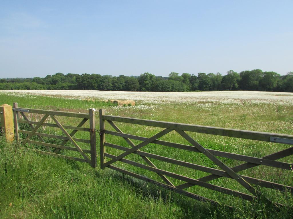 Decoy Barn